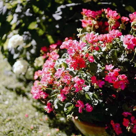 Ferienwohnung Radeberg Апартаменты Радеберг