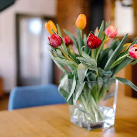 Ferienwohnung Radeberg Апартаменты