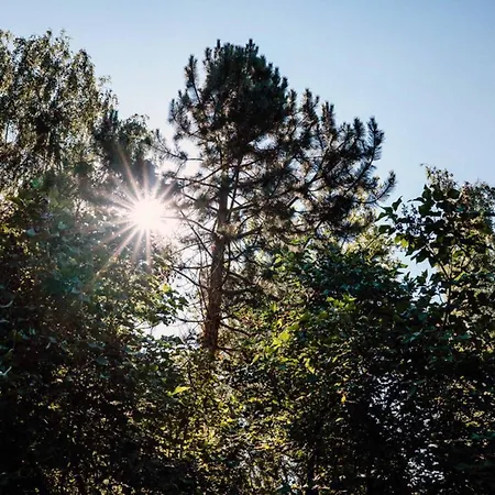 Апартаменты Ferienwohnung Radeberg *