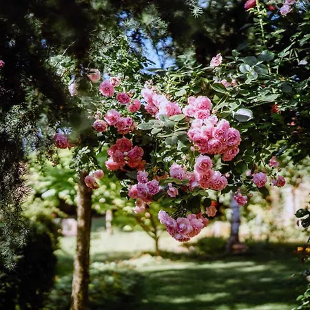 Апартаменты Ferienwohnung Radeberg *